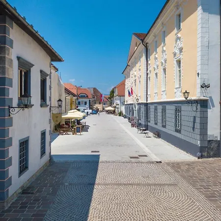 Radolca And Appartement Radovljica