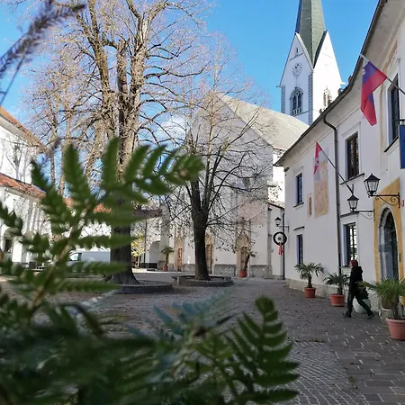 Appartement Radolca & *